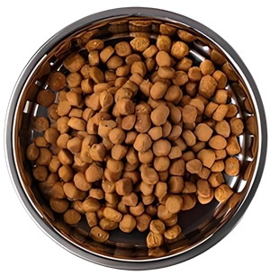 Bowl of traditional dry kibble dog food